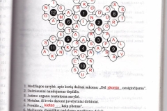 chemija8kl1dalis-17