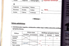 chemija8kl1dalis-24