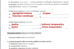 chemija8kl1dalis-39