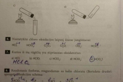 12_10_klase_chemija_pratybos_a