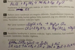 14_10_klase_chemija_pratybos_a