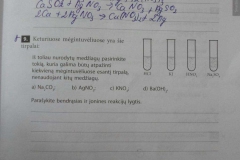 17_10_klase_chemija_pratybos_a