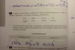 20_10_klase_chemija_pratybos_a