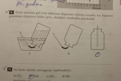 21_10_klase_chemija_pratybos_a