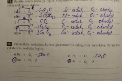 22_10_klase_chemija_pratybos_a