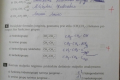 19_chemijos_pratybos_2_dalis_10_klase_nauja