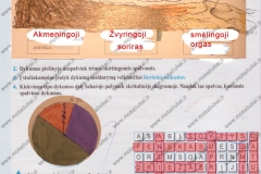 geografija7kl2dalis-8