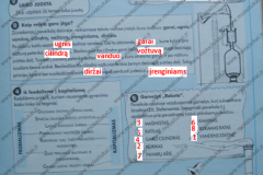 istorija6kl-2dalis-16